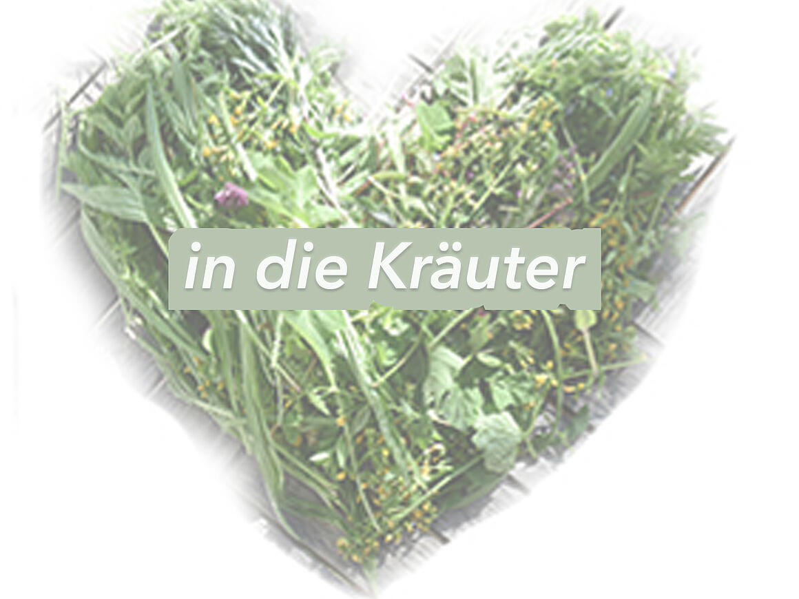 Kräuter