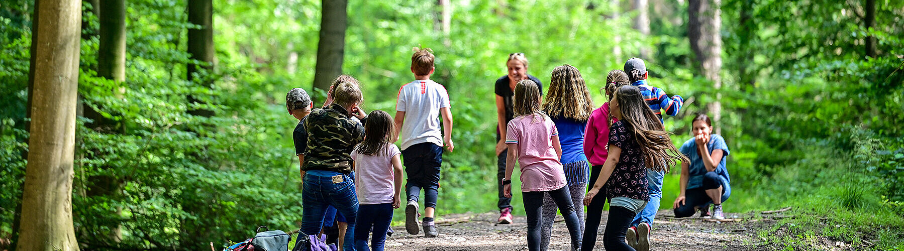 Prävention Gesundheitsförderung Wald 